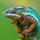 f1yegor