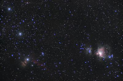 10a00029-Orion-m.jpg