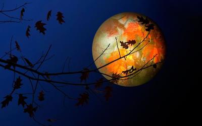 Autumn-moon-680x425.jpg